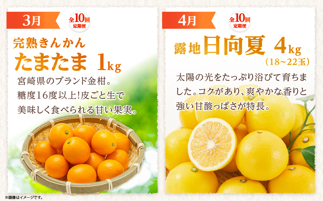【全10回お届け】特選！！宮崎県綾町産 果物・野菜定期便 [Y21]_A0113-0041 全10回定期便