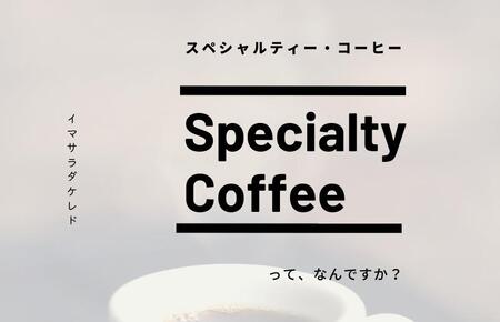 スペシャルティコーヒードリップバッグ 2種類20袋 （中浅煎り／中深煎り 各10袋） 飲み比べ セット 定期便 全6回【2か月に1回配送コース】