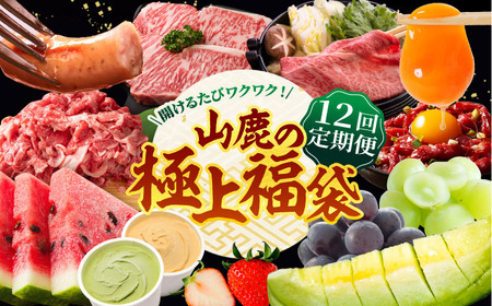 【12回定期便】 開けるたびワクワク！山鹿の極上福袋　お肉からあまいものまで山鹿の恵み [ZZZ005] たまご 黒毛和牛 いちご スイカ メロン 豚帝 フランク ジェラート ピオーネ シャイン ぶどう 馬刺し ユッケ しゃぶしゃぶ  すき焼き ステーキ  