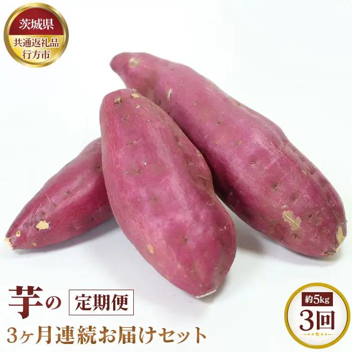 【先行予約】芋の3ヵ月連続お届けセット　約5kg×3回【茨城県共通返礼品 行方市】 No.371