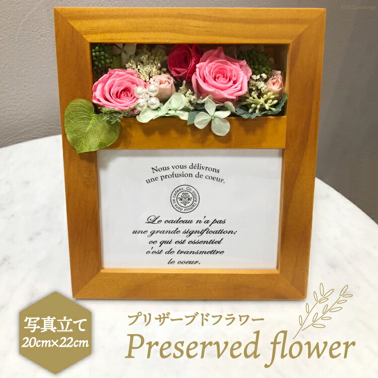 【ふるさと納税】 プリザーブドフラワー 写真立て 20×22×14cm 花 / littleprincess / 石川県 宝達志水町
