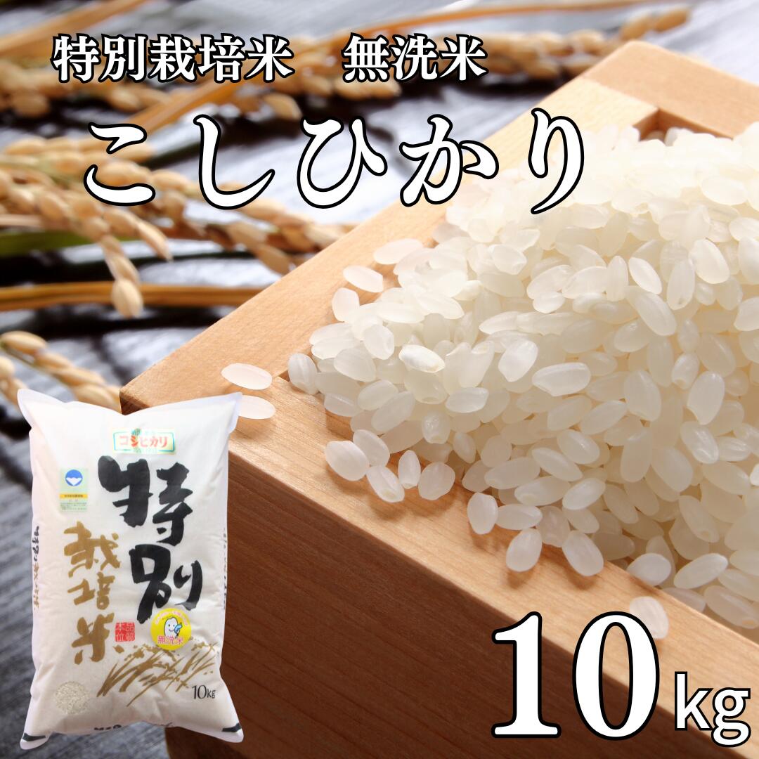 【ふるさと納税】県認証 特別栽培米 コシヒカリ10kg 無洗米 新潟県認証 令和7年産 新潟県三条市産 こしひかり 【021S058】