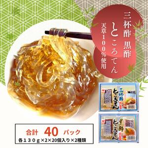 【ふるさと納税】三杯酢ところてん2個パック 黒酢ところてん2個パック 各10個入り 天草100% 食物繊維 たれ タレ さっぱり 常温