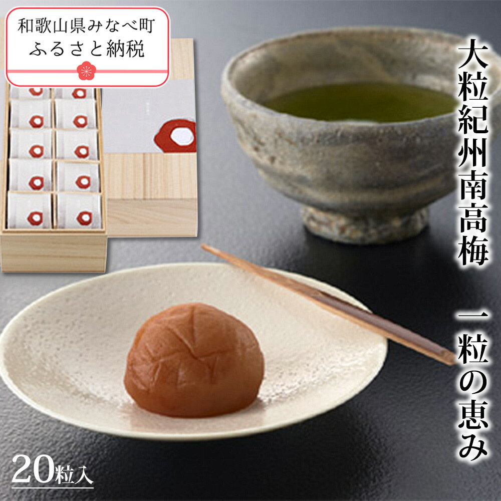 【ふるさと納税】一粒の恵み | 梅干し 梅干 紀州南高梅 南高梅 梅 ウメ うめ 個包装