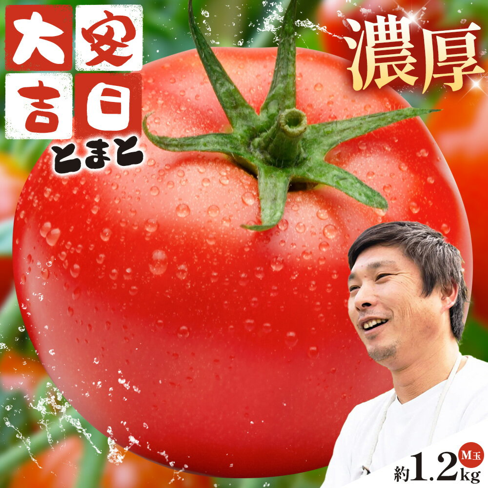【ふるさと納税】トマト とまと 大安吉日とまと 約1.2kg M玉 9個 《11月上旬-6月中旬頃出荷》 市囿庄一 鹿児島県 さつま町 野菜 やさい サラダ 料理 甘い 青果物 大安吉日トマト