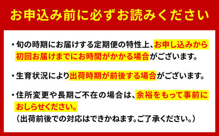 【全3回定期便】佐賀県の生産者を応援！いちごと桃とシャインマスカットを楽しむ定期便 / いちご シャインマスカット 桃 フルーツ / 佐賀県ふるさと納税[41AAZZ020]