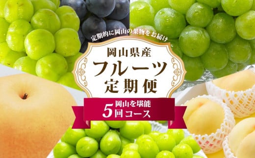 フルーツ 定期便 2026年 フルーツ王国 岡山の果物 5回コース 夏～冬物語 桃 もも 葡萄 ぶどう 梨 なし岡山県産 国産 果物 セット ギフト