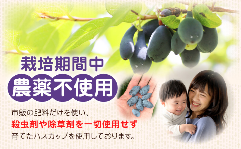 カナダ産 苫小牧市民還元 ハスカップジャム 435g（2瓶）　T044-017-02