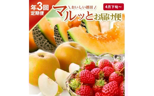 ≪3回定期便≫ おいしい酒田 マルっとお届け便2026(2) 4月下旬～5月下旬 いちご 6月下旬～7月下旬 紅花メロン 8月中旬～10月中旬 刈屋梨 和梨 計3回 離島発送不可 着日指定不可 頒布会 苺 赤肉メロン なし くだもの 果物 フルーツ 山形 酒田 庄内 春 夏 秋 マルト直治郎商店　SE0485