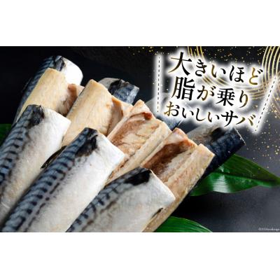 ふるさと納税 気仙沼市 訳あり 塩サバ フィレ 1.5kg [足利本店 20565942] |  | 02