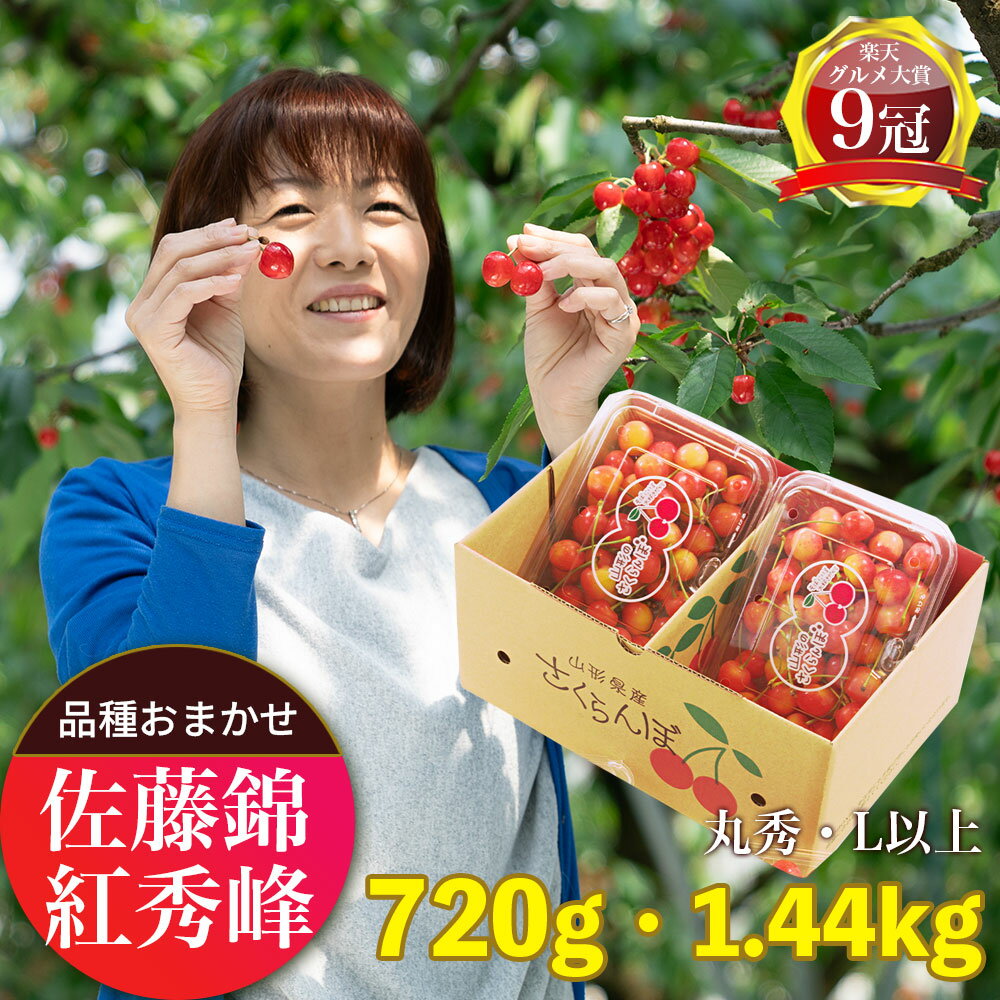 【ふるさと納税】＜ 先行予約 ＞ 山形県産 さくらんぼ （ 佐藤錦 ・ 紅秀峰 ） 丸秀品 L以上 選べる 720g (180g×4)・1.44kg (180g×8) 【2026年6月下旬から7月上旬発送】 山形県 果物 フルーツ 初夏 夏 送料無料