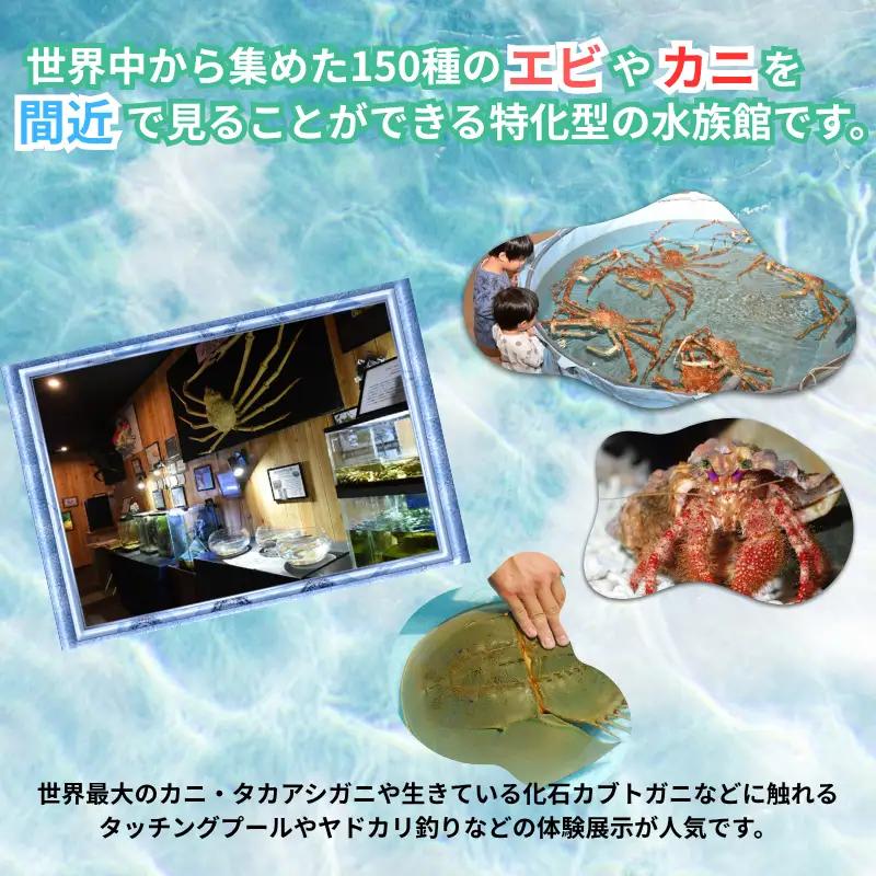 ＼バックヤードツアー付き／　エビとカニの水族館 10名様チケット　【ebk104】