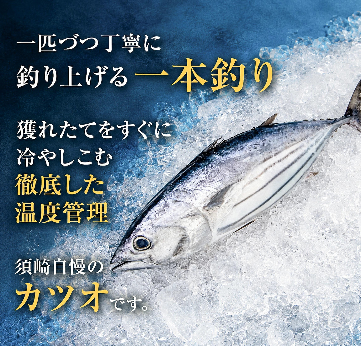 カツオのタタキ 藁焼きカツオ 1kg 漬け丼 タタキ たたき 名物 一本釣り ポン酢付き 刺身 海鮮 魚 冷凍 お取り寄せ 高知県 須崎産 国産 ご当地 真空パック グルメ 海鮮丼 おかず おつまみ 