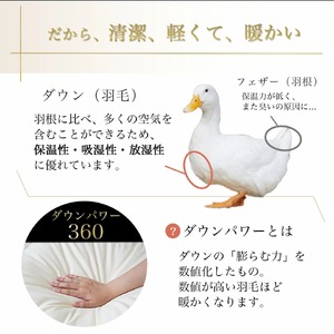 【パウダーグレー（無地）】京都金桝 冬用羽毛布団 セミダブルサイズ×1枚 無地 シンプル 【ふとん 布団 寝具 国産 日本製 羽毛布団 羽毛ふとん 羽毛ぶとん うもうぶとん うもうふとん 本掛け 羽毛