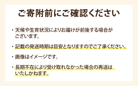 【先行予約】今庄つるし柿【燻して作るスモーキーな味わい】【2026年12月7日以降順次発送】数量限定 秋