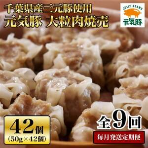 【毎月定期便】元気豚 大粒肉焼売セット 42個セット(計2.1kg)全9回【配送不可地域：離島・沖縄県】【4055283】