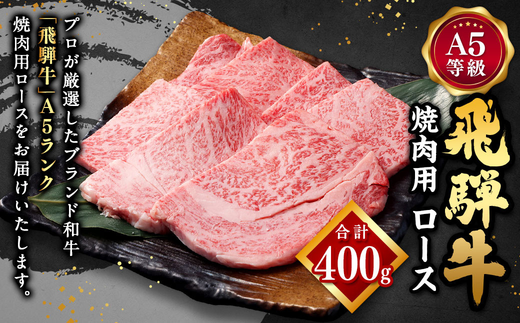 
            飛騨牛 A5 等級 焼肉 用 （ ロース 400g） | 肉のかた山 牛肉 牛 肉 焼き肉 和牛 黒毛和牛 国産 M22S38
          