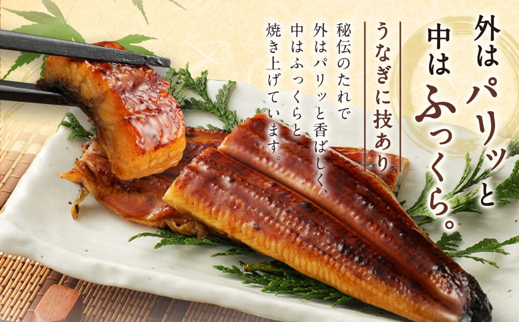 九州産 うなぎ 蒲焼 大 2尾 (1尾あたり160～189g)