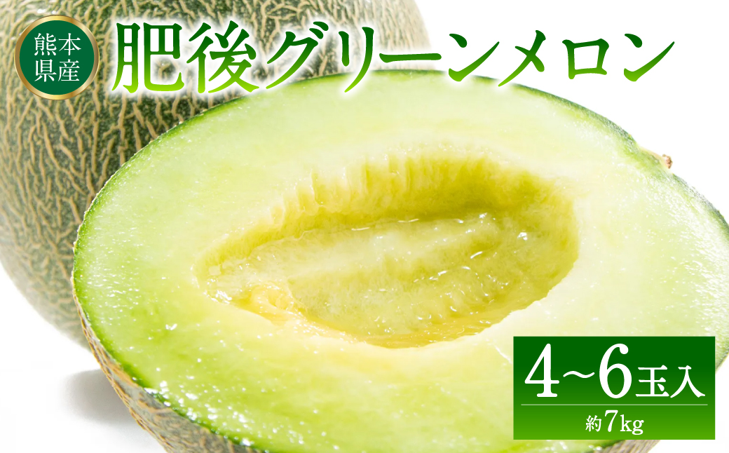 肥後グリーンメロン 熊本県産 4～6玉 約7kg 青肉メロン くだもの 果物 フルーツ デザート