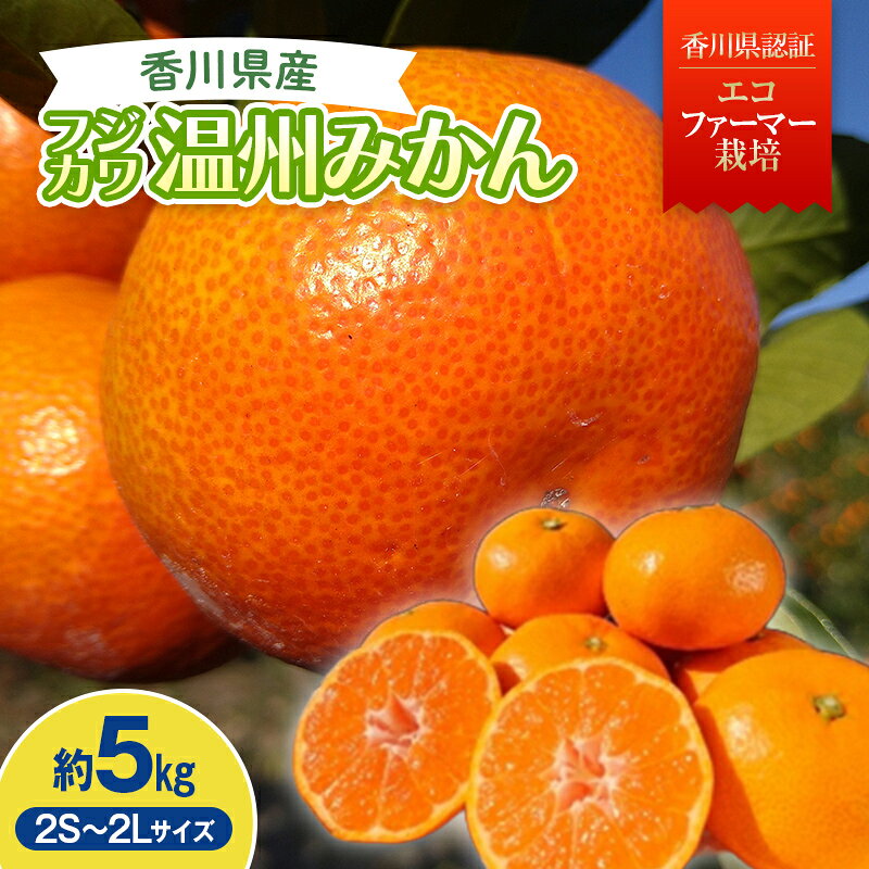 【ふるさと納税】2026年秋よりお届け フジカワ温州みかん 約5kg 果物類 柑橘類 フルーツ FAH-0175