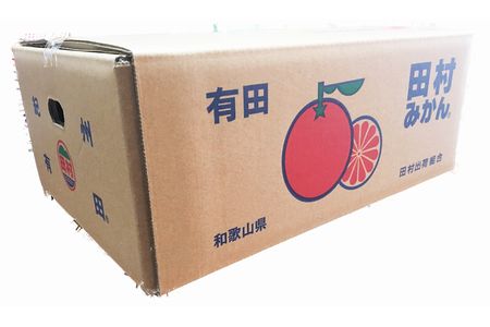 田村みかん 10kg【予約】みかん 【uot505A】