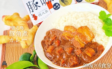 ～島豚の角煮が“ごろっ”～徳之島豚角煮カレー（中辛）200g×6食 ( カレー カリー レトルトカレー ご当地カレー 豚肉 徳之島 奄美 鹿児島 スパイシー レターパックライト 美農里館 )