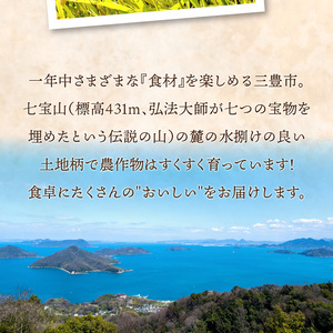 【新米おいしいお米】【ヒノヒカリ　10kg】（5㎏×2袋）_M64-0081 米 米 米 米 米 米 米 米 米 米 米 米 米 米 米 米 米 米 米 米 米 米 米 米 米 米 米 米 米 米 米