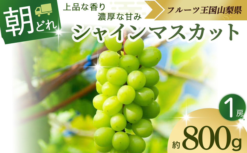 【2025年発送】シャインマスカット 1房 約800g  先行予約 山梨県産 国産 甲斐市 産地直送 人気 おすすめ 贈答 ギフト お取り寄せ フルーツ 果物 くだもの ぶどう ブドウ 葡萄 新鮮 甘