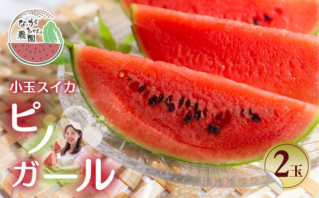 
                  ≪先行予約 2026年発送≫ ながちゃん農園の 小玉スイカ 2玉｜ピノガール 小玉すいか 小玉 すいか 西瓜 スイカ くだもの フルーツ 果物 旬 夏 スイーツ フルーツ先行予約  愛知県 豊橋市
                