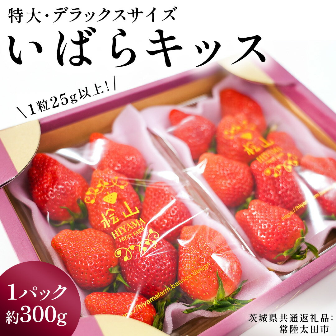 【ふるさと納税】いばらキッス ( 約300g × 2パック 〜 4パック ) 特大 ・ デラックスサイズ （茨城県共通返礼品／常陸太田市） 茨城県品種 2026年1月から発送開始 フルーツ 苺 イチゴ いちご 新鮮 朝採れ 茨城県 桧山FRUITFARM 春 旬