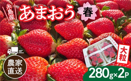 【先行予約】あまおう 糸島産 農家直送！春あまおう 280g×2パック (DXおよびGサイズ) 【2026年2月上旬以降順次発送】糸島市 / 後藤農園 [AML004] いちご 福岡