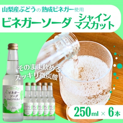 
                  山梨産ぶどう100%の熟成ビネガーの、そのまま飲める「ビネガーソーダシャインマスカット6本セット」【1658078】
                