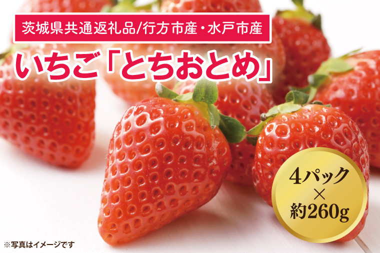 
            【茨城県共通返礼品/行方市産・水戸市産】【2025年1月より順次発送】いちご 「とちおとめ」 約260gパック×4【いちご 苺 イチゴ フルーツ 果物 ジューシー 水戸市 水戸 茨城県】（LO-2）
          