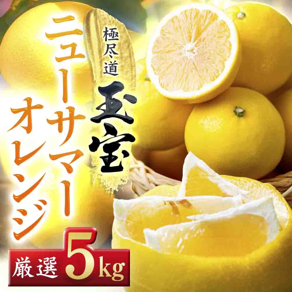 
                  【先行受付】【愛媛名産】玉宝ニューサマーオレンジ　5kg【E64-38】_みかん ミカン 柑橘 日向夏 ニューサマーオレンジ フルーツ くだもの 果物 ふるーつ 青果 果実 甘い ジューシー 産直 産地直送 旬 柑橘類 人気 愛媛 果汁 【1510842】 YWTY027
                