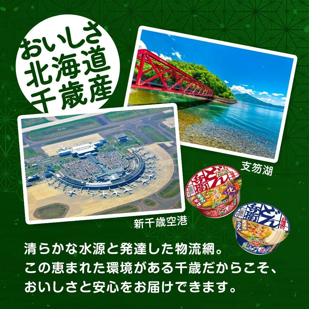 日清 北のどん兵衛 天ぷらセット＜うどん・そば＞各1箱・合計2箱
