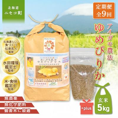 ふるさと納税 ニセコ町 《数量限定先行受付!令和8年産米》【9回定期便】ゆめぴりか 【玄米】5kg【3116702】