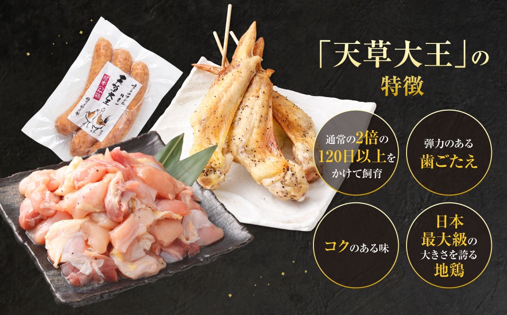 天草大王プレミアムバーベキューセット（大） 計12パック