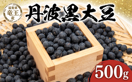 【先行予約】丹波黒豆 500g FK081_R8【 黒豆 】