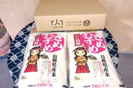 令和7年産 美郷きぬむすめ 10kg（5kg×2袋）【米 お米 精米 白米 ブランド米 きぬむすめ 10kg 5kg×2袋 2025年産】