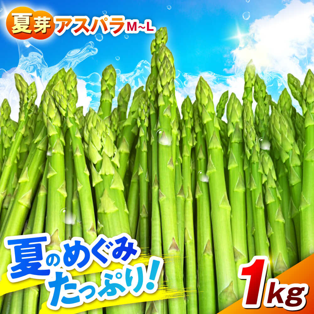 【ふるさと納税】【先行予約】 山鹿市産 いけだ農園のアスパラガス 夏芽(M~Lサイズ)　約1kg【いけだ農園】[ZFP001]