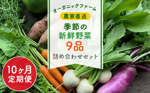 【10ヶ月 定期便】【栽培期間中農薬不使用】農家直送！季節の新鮮野菜「９品」詰め合わせセット オーガニックファーム AIBA FARM TML004 / 野菜セット 無農薬 野菜 千葉県 富里市 直送野菜 お野菜セット 旬野菜 季節野菜 農家直送 採れたて とれたて やさい 詰め合わせ セット ヤサイ  旬の野菜 季節の野菜 産地直送 詰め合わせ おまかせ 新鮮 オーガニック 農薬不使用