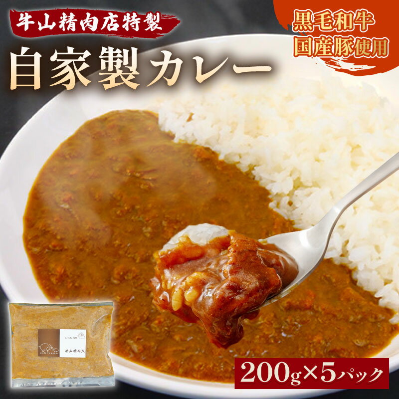 【ふるさと納税】 自家製 カレー 200g×5パック 1kg 黒毛和牛 牛肉 国産豚 個包装 湯煎可 温めるだけ 簡単 レンジ 牛山精肉店 特製 手作り セット惣菜 お取り寄せ グルメ 食品 沼津市 静岡県
