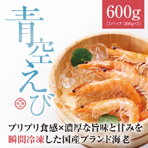 青空えび（和名：シロアシエビ）３パック入り