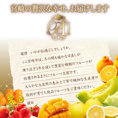 ふるさと納税 宮崎市 【発送月固定定期便】旬のくだもの食べきり定期便(宮崎市)全6回 |  | 01