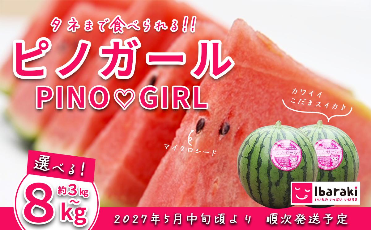 
                  【 先行予約 】【 選べる容量 】茨城県産 小玉スイカ「ピノガール」 約3kg （ 2個 ） ～ 約8kg （ 4 ～ 5個 ） 【 2027年5月中旬～6月中旬ごろ発送予定 】 【 小玉 スイカ 西瓜 果物 くだもの フルーツ 国産 季節限定 人気 贈り物 お取り寄せ プレゼント 厳選 デザート 】
                