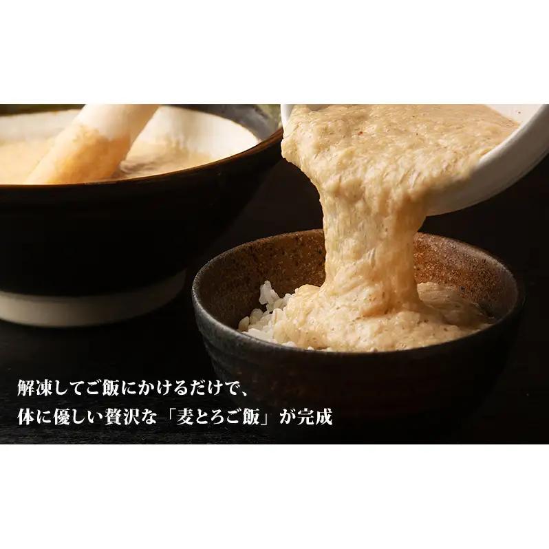 冷凍とろろ汁（さば味噌汁）225g 2個 6ヶ月定期便 とろろ 自然薯 じねんじょ 山芋 山かけ とろろご飯 そば うどん 小分け 冷凍 静岡 島田市
