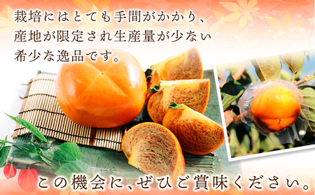 紀の川柿 約2kg (種なし/黒あま柿) 秀品