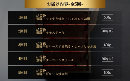 【定期便】飛騨牛三昧 定期便 5回 5ヶ月 食べ比べ A5等級 5等級 a5 牛肉 肉 和牛 国産牛 黒毛和牛 焼肉 やきにく ヤキニク 赤身 霜降り お楽しみ トキノ屋食品 本巣市 定期便 肉 お楽