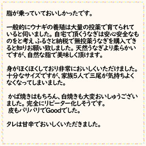 【贈答用】特大 極上国産うなぎ四万十桜 蒲焼き約210g?3尾 | うなぎ 鰻 蒲焼き 国産 四万十鰻 白焼き 調理済み タレ付き ギフト（お歳暮/お正月）高級 お取り寄せ グルメ 食べ比べ 冷凍