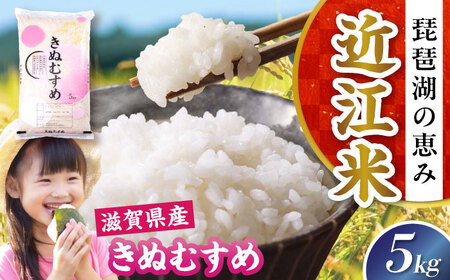 【令和7年産新米】きぬむすめ 5kg 白米 [AQDH005] きぬむすめ 白米